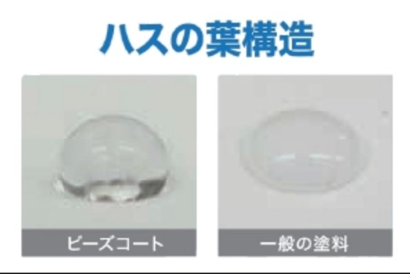 ダウンロード