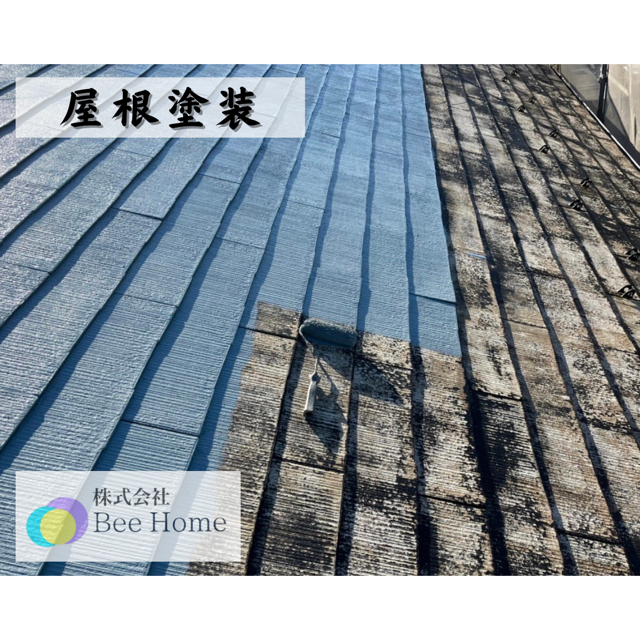 low_bg5