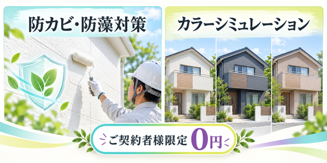 133533b5-eb27-4da3-9633-ad00443c3d12